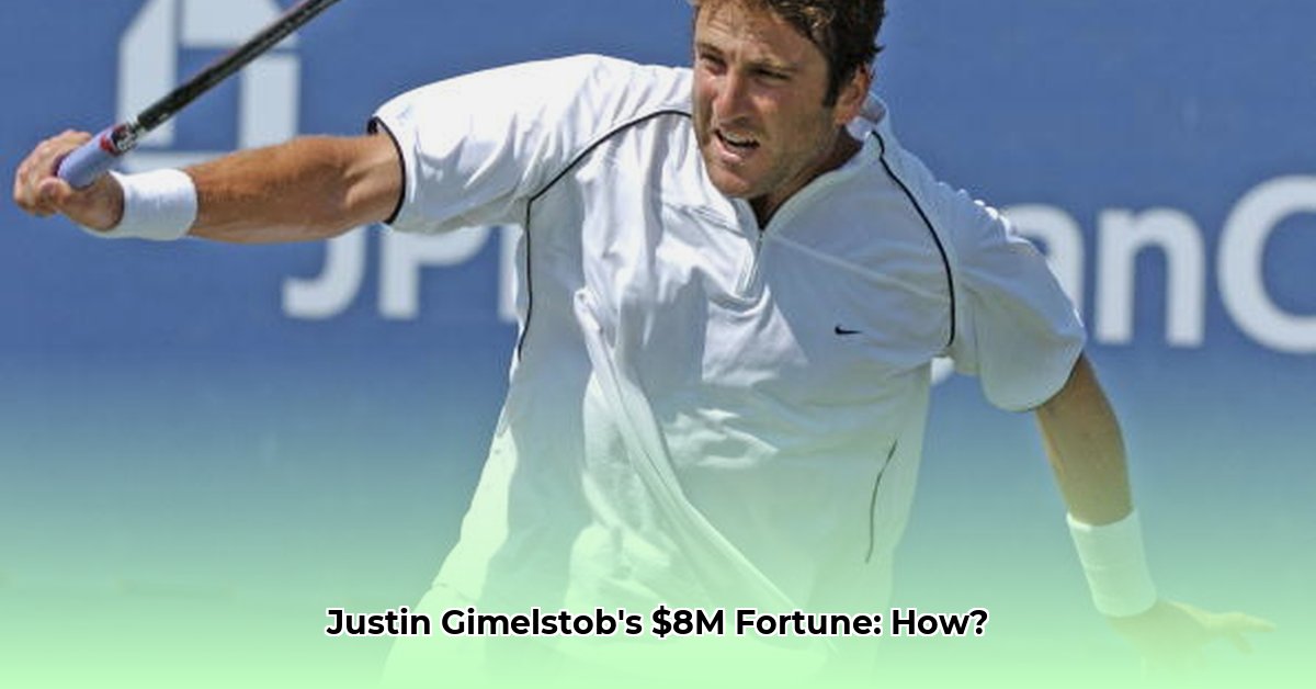 justin-gimelstob-net-worth